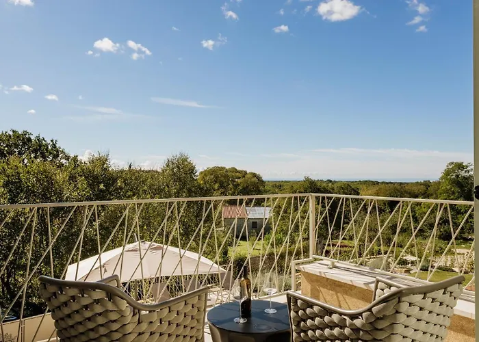 Mila With Private Pool, Bbq And Jacuzzi Visnjan